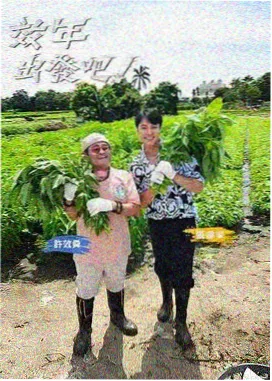 好看的动漫图片 投稿规则调整 原图与压缩图对比